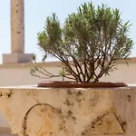 Toma دوبروفينك